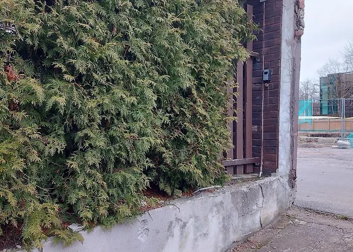 Jura- Apartamentai アパート パランガ